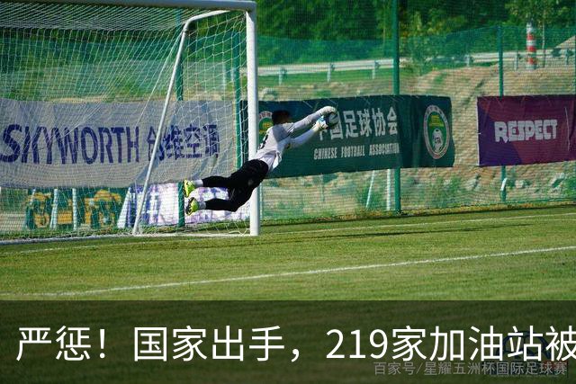 严惩！国家出手，219家加油站被查，手段曝光太隐秘，恶心的在后面