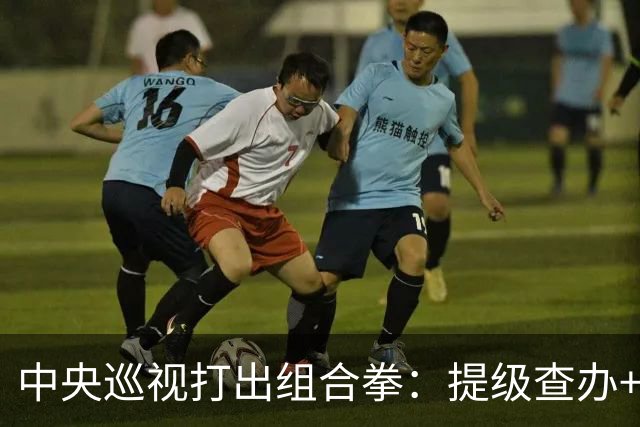中央巡视打出组合拳：提级查办+深挖保护伞，查到线索再也瞒不住