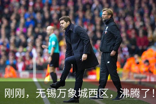 刚刚，无锡万象城西区，沸腾了！
