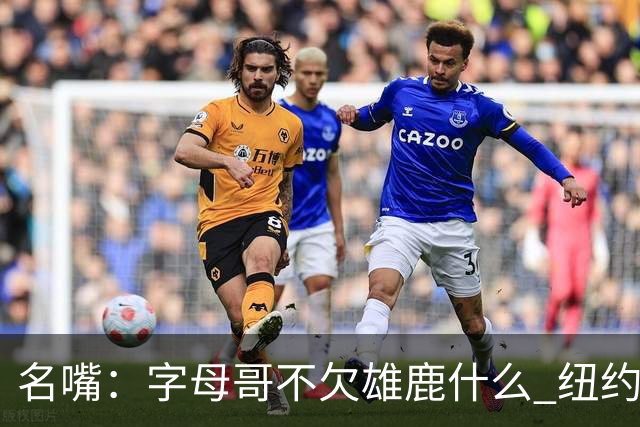 名嘴：字母哥不欠雄鹿什么 纽约现在渴望冠军