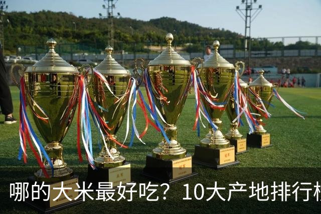 哪的大米最好吃？10大产地排行榜：五常第1，但“最健康”的答案不在产地，在米袋上