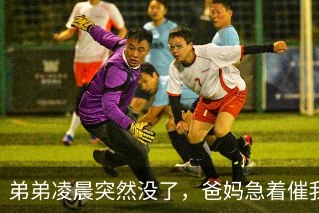 弟弟凌晨突然没了，爸妈急着催我坐车回去，我刚掏出车票，手机跳出一条匿名短信：别急，晚点看大戏
