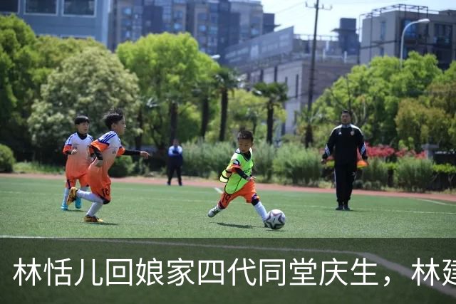 林恬儿回娘家四代同堂庆生，林建岳搂着外孙女，102岁林老太也在