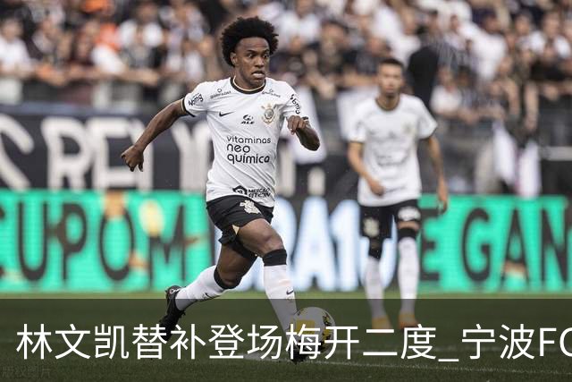 林文凯替补登场梅开二度 宁波FC客场2:3不敌石家庄功夫