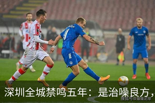 深圳全城禁鸣五年：是治噪良方，还是矫枉过正？