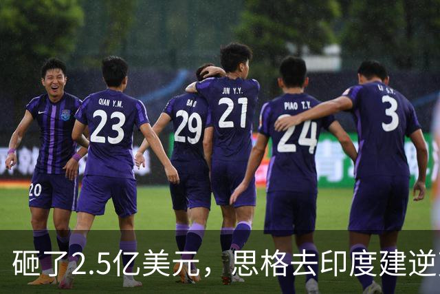 砸了2.5亿美元，思格去印度建逆变器储能厂，要给自己留足后路与筹码